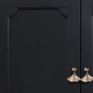 Providence Asbury Black 2-Door Cabinet Cheaper^* Cheap